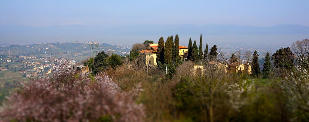 Agriturismo Frigionaia Carmignano Zewnętrze zdjęcie